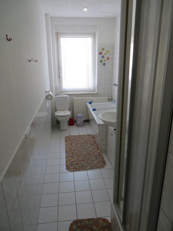 Oelsnitz  Ferienwohnung Zahn מראה חיצוני תמונה